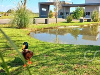 Foto 17 de Departamento en  Venta en Casuarinas Premiun