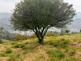 Foto 41 de Vendo lote en La Estrella Antioquia