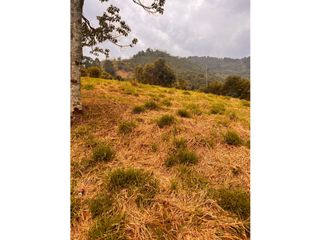 Foto 12 de Vendo lote en La Estrella Antioquia