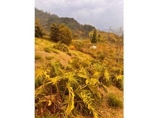 Foto 20 de Vendo lote en La Estrella Antioquia