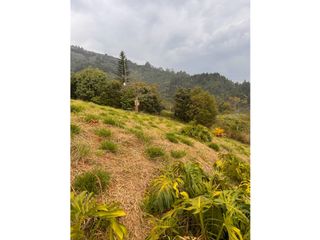 Foto 9 de Vendo lote en La Estrella Antioquia
