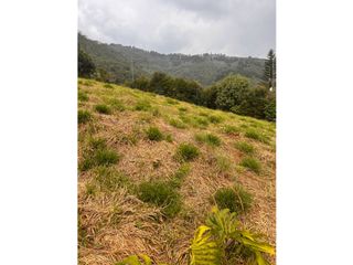 Foto 22 de Vendo lote en La Estrella Antioquia