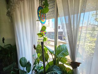 Foto 14 de VENTA-PH 4AMB- SIN EXP- TERRAZA-PARRILLA-FLORES