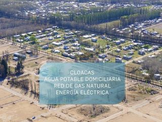 Foto 3 de TERRENO EN MIRASUR, PLOTTIER