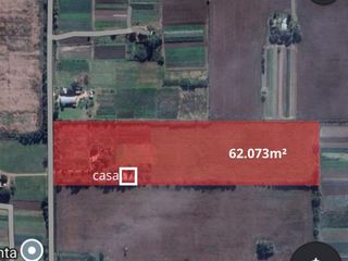Foto 17 de campo con casa a refaccionar en Recreo