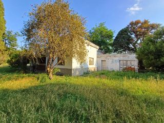 Foto 6 de campo con casa a refaccionar en Recreo