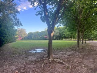 Foto 5 de LOTE DE  2400 M2 HARAS DEL SUR 1 ... OPORTUNIDAD!