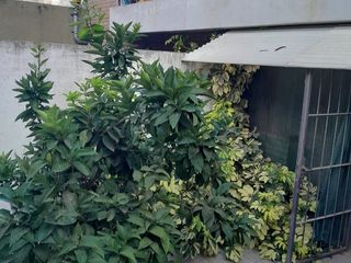Foto 8 de Dpto 1 Dor a la Venta B Pueyrredon PB con Patio