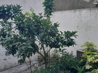 Foto 5 de Dpto 1 Dor a la Venta B Pueyrredon PB con Patio