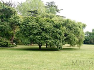 Foto 4 de Venta Lote en La Estela Pilar