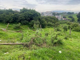 Foto 6 de TERRENO EN RENTA SECTOR PIFO