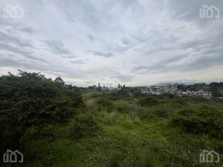 Foto 10 de TERRENO EN RENTA SECTOR PIFO