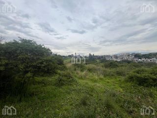 Foto 7 de TERRENO EN RENTA SECTOR PIFO