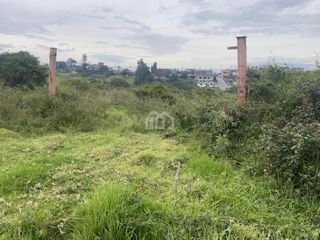 Foto 5 de TERRENO EN RENTA SECTOR PIFO