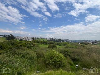 Foto 4 de TERRENO EN RENTA SECTOR PIFO