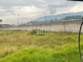 Foto 5 de TERRENO EN RENTA SECTOR PIFO