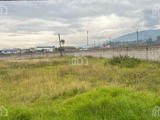 Foto 4 de TERRENO EN RENTA SECTOR PIFO