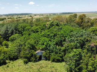 Foto 7 de Campo de 110 Has. en venta en Coronel Brandsen