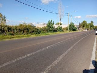 Foto 4 de ALQUILER DE CHACRA INCULTA EN COLONIA SEGOVIA