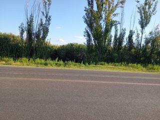 Foto 1 de ALQUILER DE CHACRA INCULTA EN COLONIA SEGOVIA