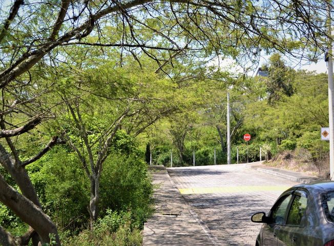 place photo 24