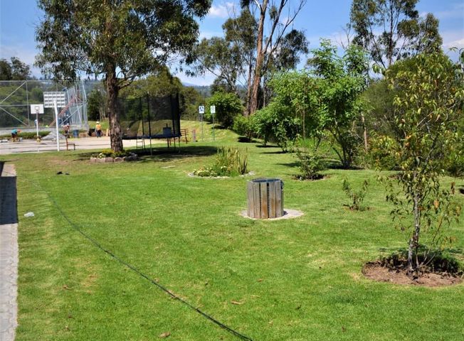 place photo 20