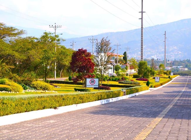 place photo 23