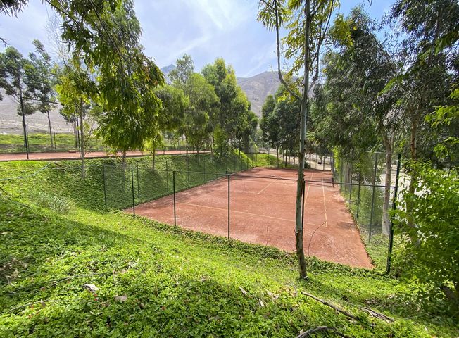 place photo 16