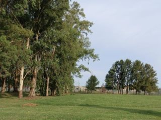 Foto 1 de LOTE  FORESTADO EN VENTA BARRIO PRIVADO LAGOS DE SAN ELISEO CANNING