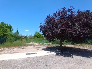 Foto 3 de LOTE EXCELENTE UBICACION SEMIPRIVADO