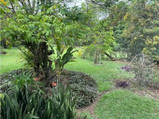 Foto 3 de CASA INDEPENDIENTE EN PANCE CON PISCINA Y RODEADA DE VERDE