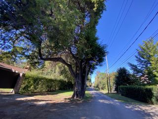 Foto 54 de Venta - Casa 5 amb. Pileta, Jardín y Quincho - 2 Lotes / Los Ñanduces