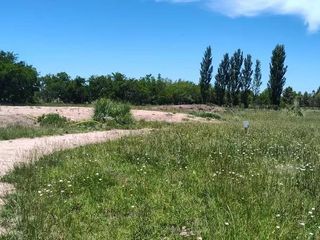 Foto 20 de Terreno en venta - 30.000Mts2 - Estancia Benqueria, Monte