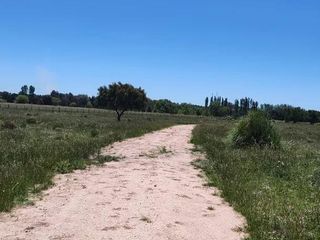 Foto 5 de Terreno en venta - 30.000Mts2 - Estancia Benqueria, Monte