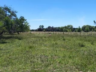 Foto 16 de Terreno en venta - 30.000Mts2 - Estancia Benqueria, Monte