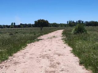 Foto 11 de Terreno en venta - 30.000Mts2 - Estancia Benqueria, Monte