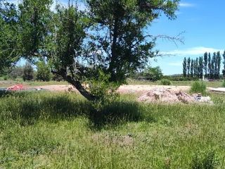 Foto 15 de Terreno en venta - 30.000Mts2 - Estancia Benqueria, Monte