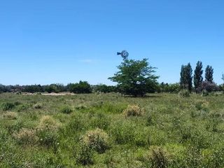 Foto 17 de Terreno en venta - 30.000Mts2 - Estancia Benqueria, Monte
