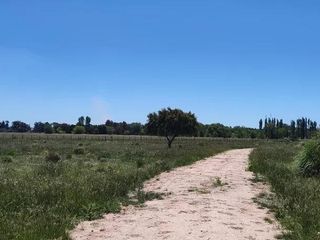Foto 8 de Terreno en venta - 30.000Mts2 - Estancia Benqueria, Monte
