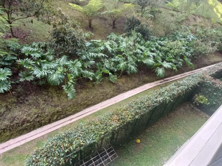 Foto 3 de Apartamento en Arriendo en Rionegro