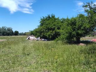 Foto 4 de Terreno en venta - 31.833Mts2 - Estancia Benqueria, Monte