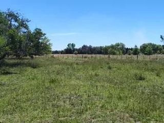 Foto 5 de Terreno en venta - 23.636Mts2 - Estancia Benqueria, Monte