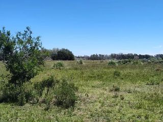 Foto 14 de Terreno en venta - 23.636Mts2 - Estancia Benqueria, Monte