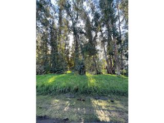 Foto 4 de terreno Necochea Zona Villa Zabala
