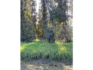 Foto 10 de terreno Necochea Zona Villa Zabala