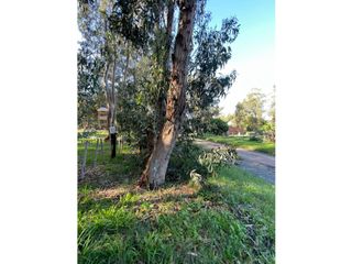 Foto 5 de terreno Necochea Zona Villa Zabala