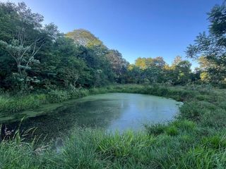 Foto 7 de Se vende Chacra 25 ha  Con Casa y Laguna. Misiones