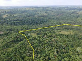 Foto 2 de Se vende Chacra 25 ha  Con Casa y Laguna. Misiones