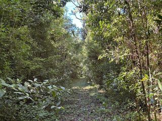 Foto 11 de Se vende Chacra 25 ha  Con Casa y Laguna. Misiones