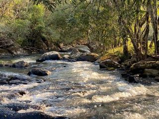 Foto 1 de Chacra de 12 hectareas en VENTA en OBERA